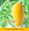 Sindhri Mango Box